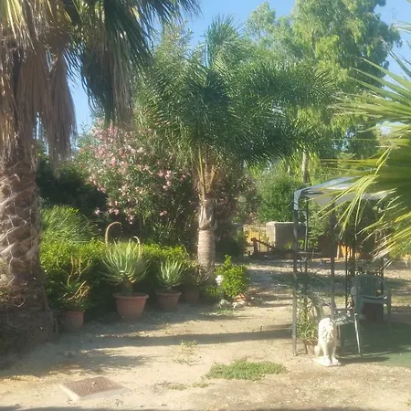 La Collina Delle Ginestre