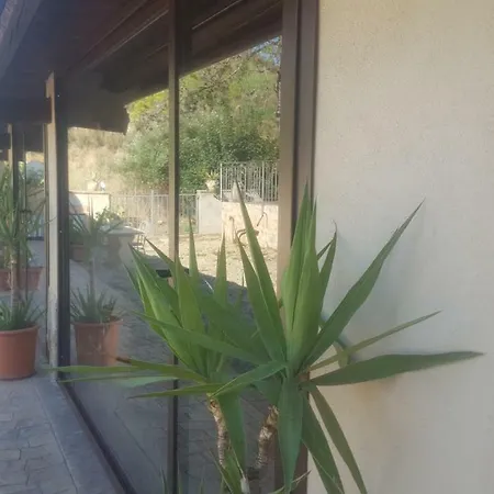 La Collina Delle Ginestre *